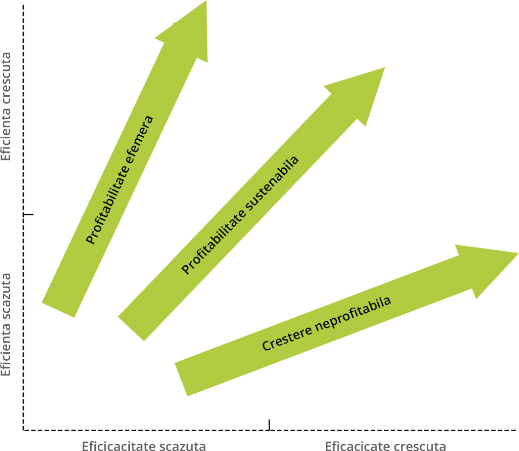 Strategii generice de Supply Chain ale afacerilor competitive