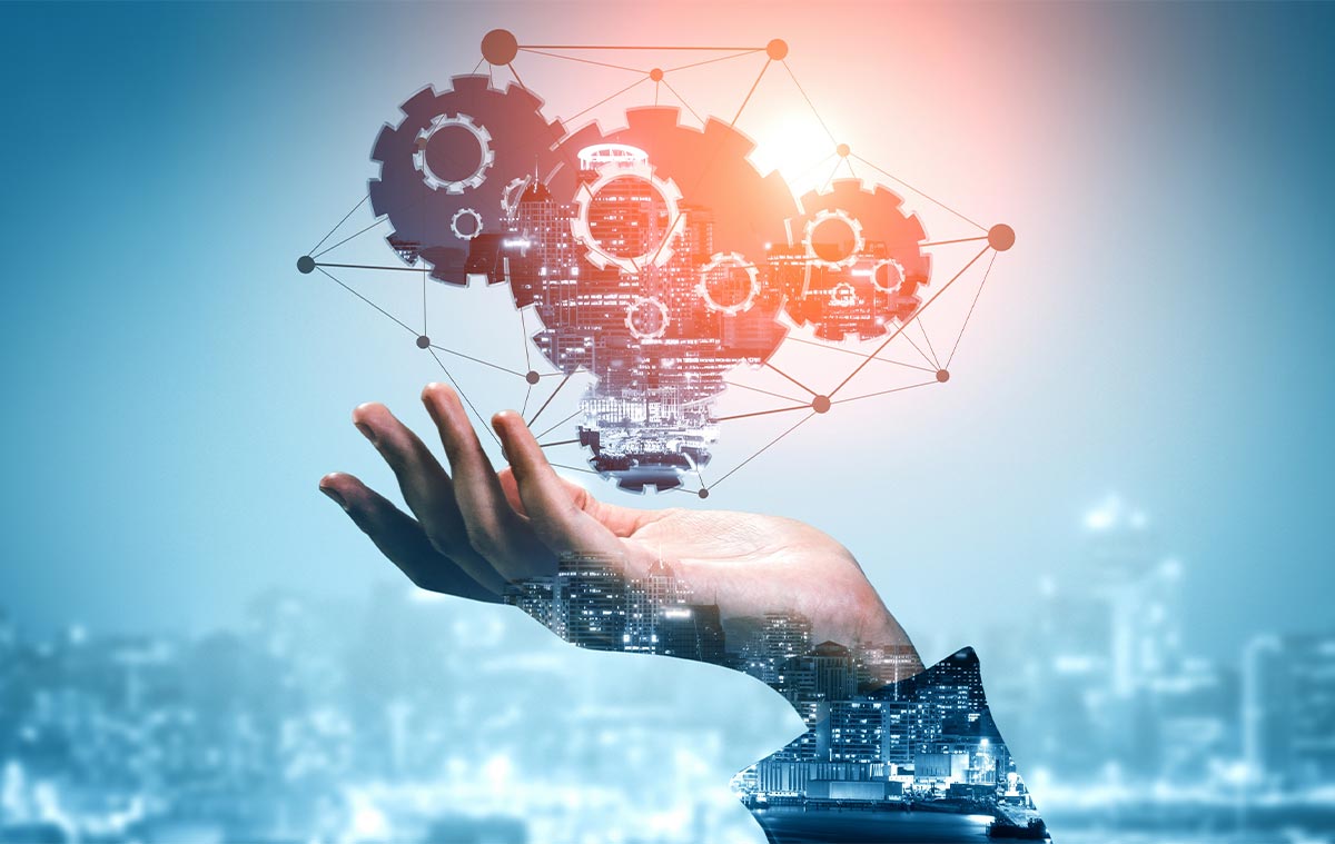 suport-post-implementare-go-live-erp-seniorerp Post-Implementation Support