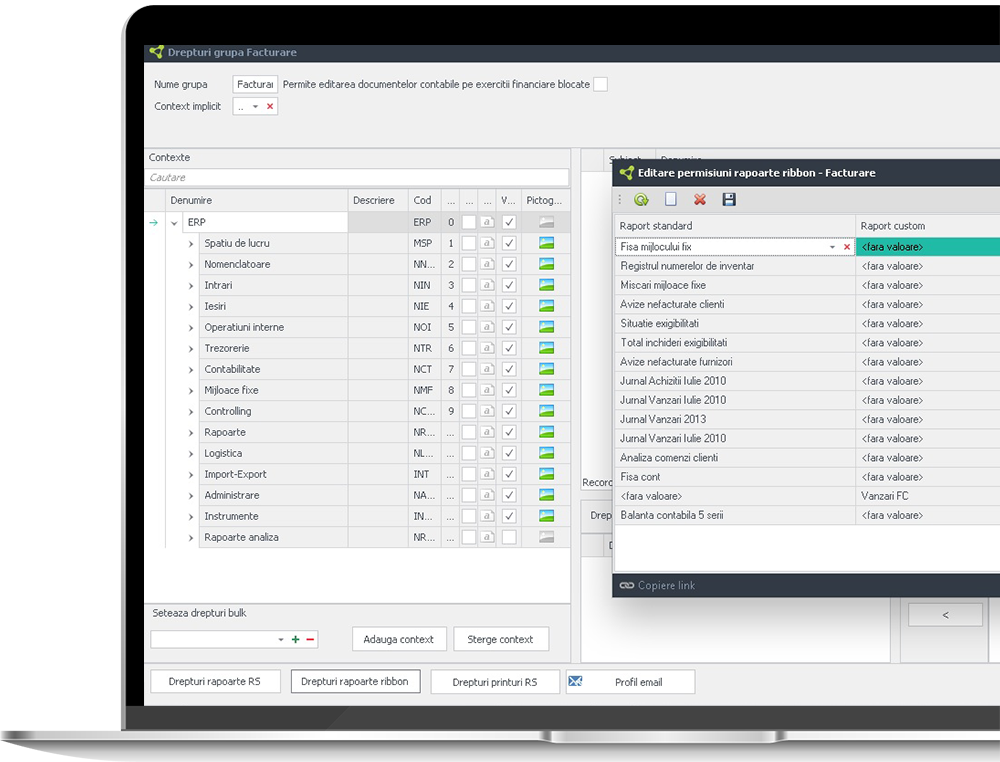 functionalitati custom ERP software