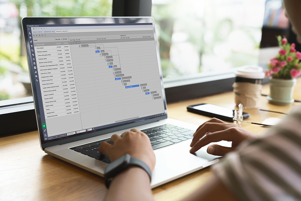 beneficii SeniorERP - sistem ERP lucru la distanta