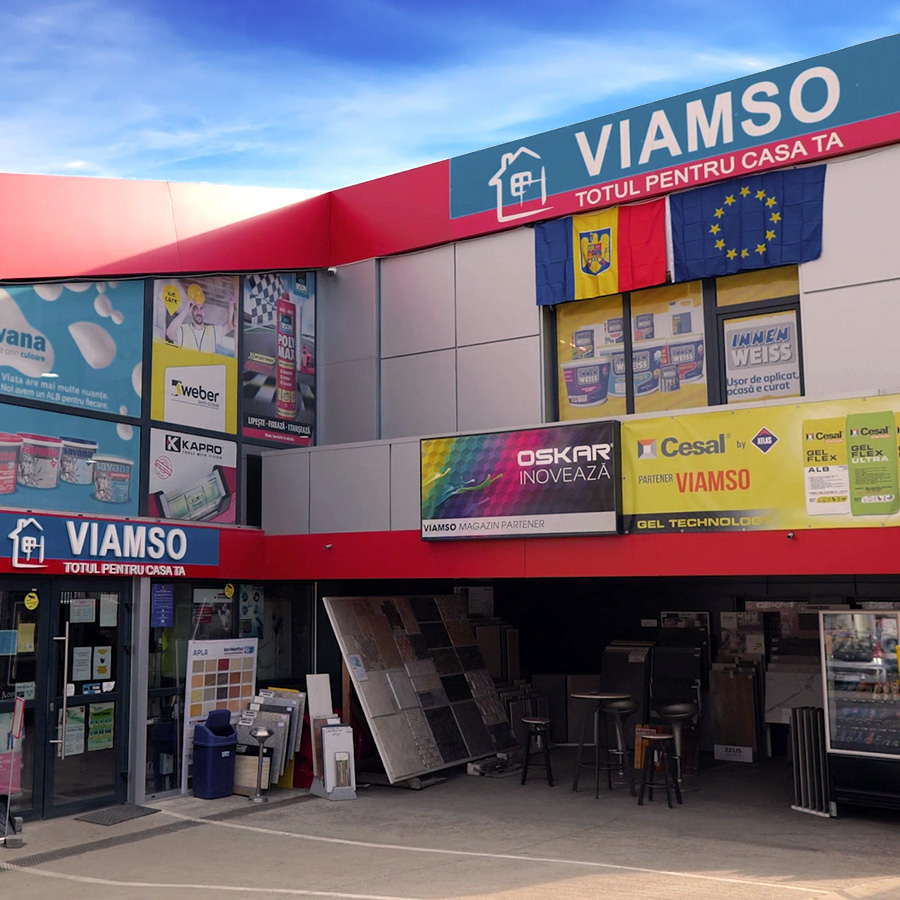 Studiu de caz VIDEO: Optimizarea proceselor de vanzari din cadrul retailerului Viamso