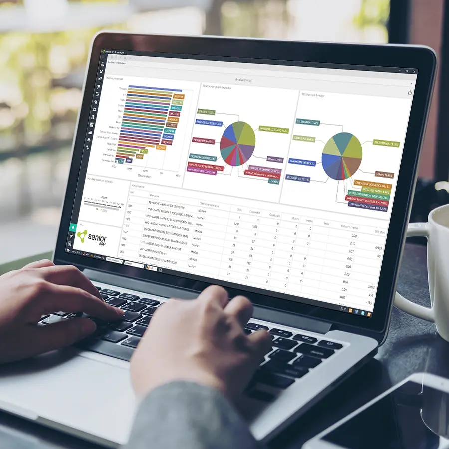beneficii implementare sisteme software informatice erp si bi la urspack