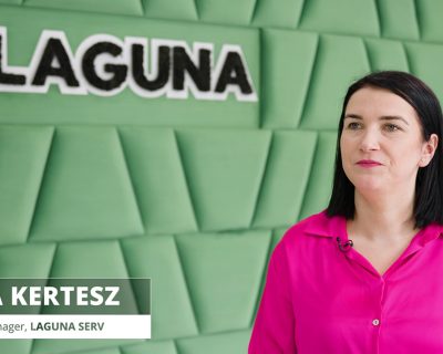 Laguna Serv, producator de tapiterii si mobilier, a obtinut control in timp real asupra stocurilor si acces la rapoarte consolidate, cu sistemele ERP si BI