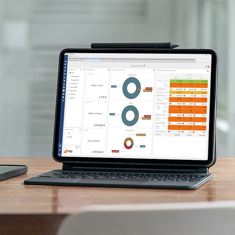 dashboard sisteme software implementate in romania